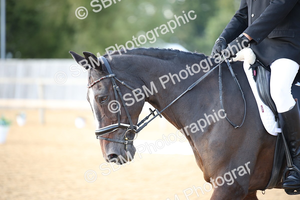 SBM_28380 - D11 - Small Tour Championship - Prelim 13