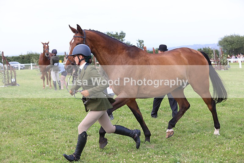 JPP_4546 - Class 26: Working Hunter 1m