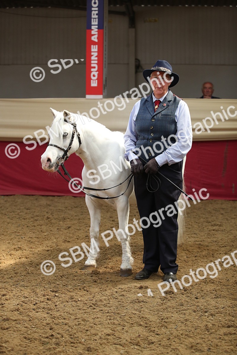 SBM_05411 - Class 8R - Regional IH Veteran