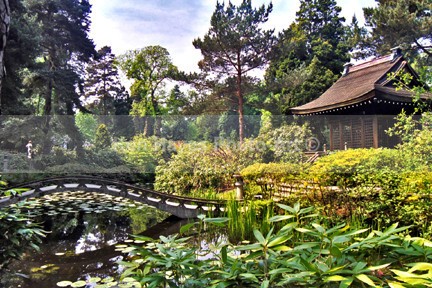 Japanese Garden - Photo