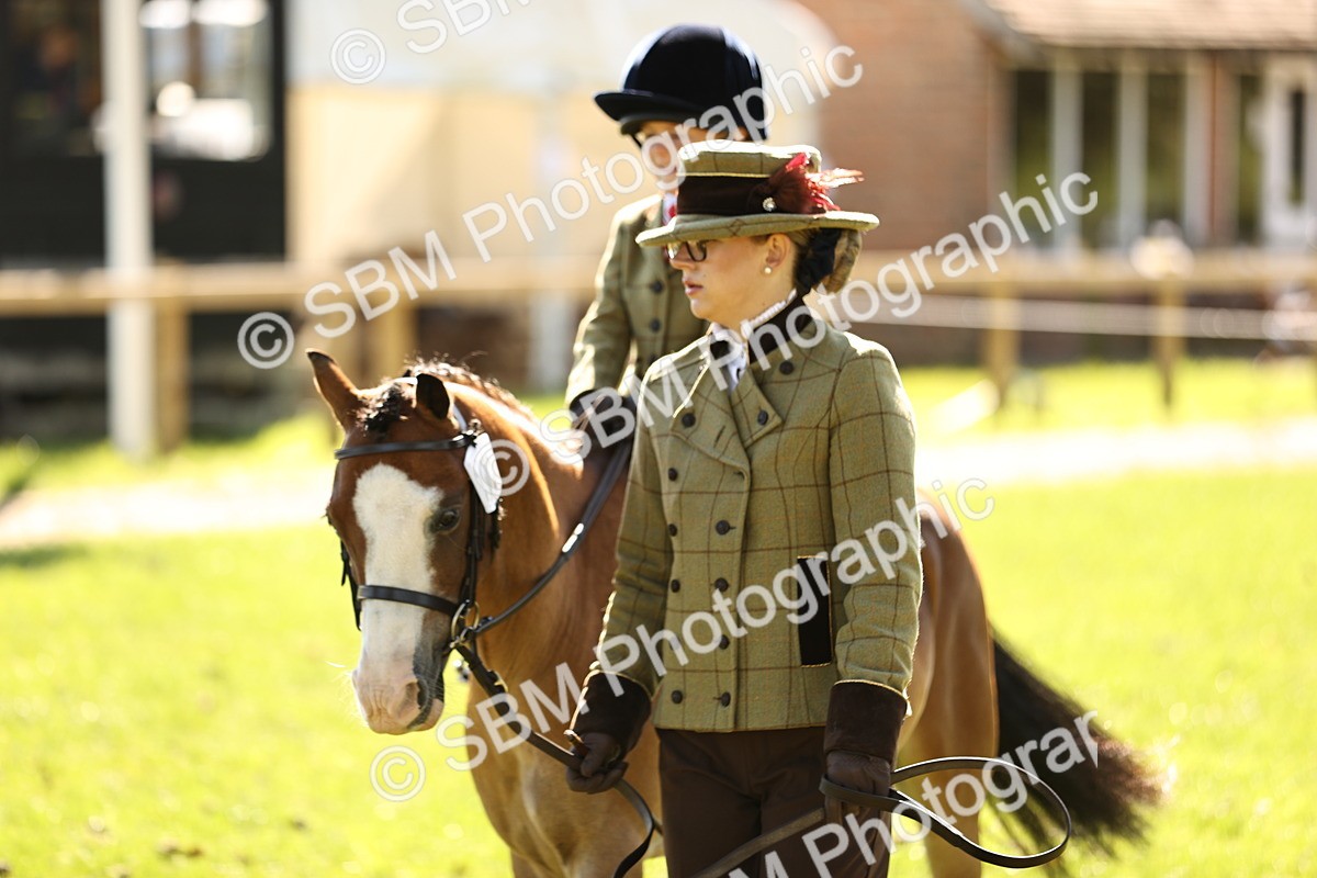 SBM_19294 - S3 - TSR Ridden Pony Showing