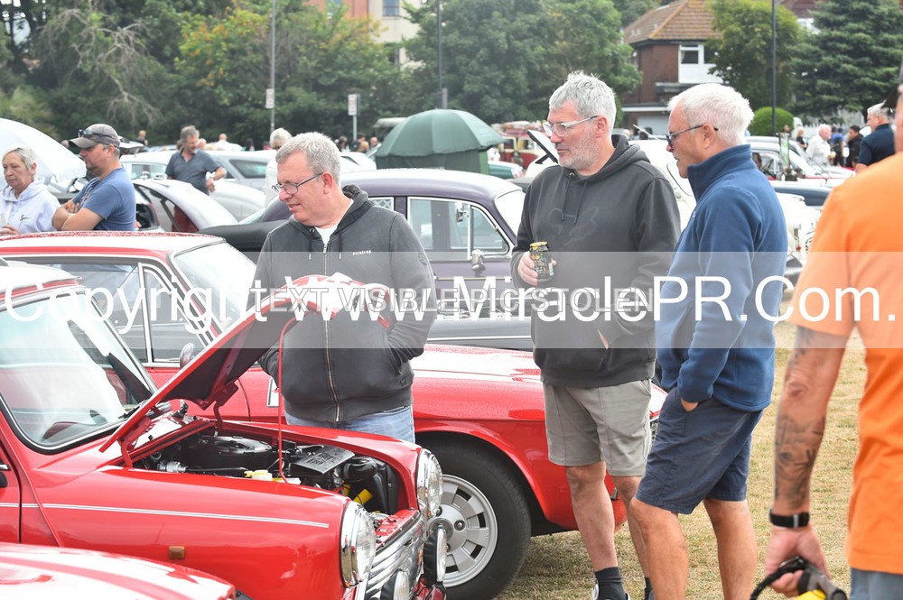 SH4_8817 - Torbay Old Wheels Club