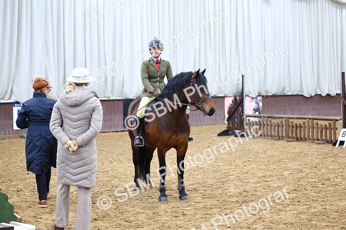 SBM_003322 - Class 36 - 70cm Training Stakes