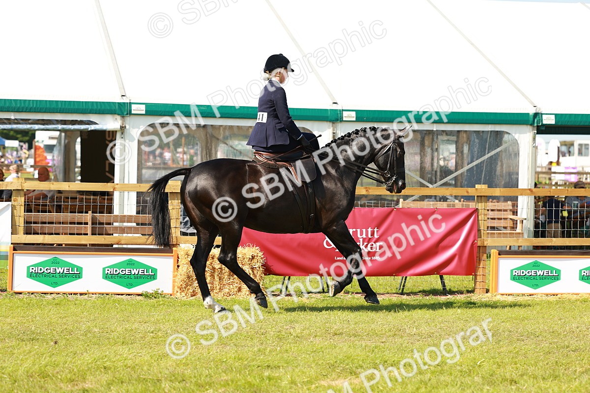 SBM_13141 - Class 70-71 - Side Saddle