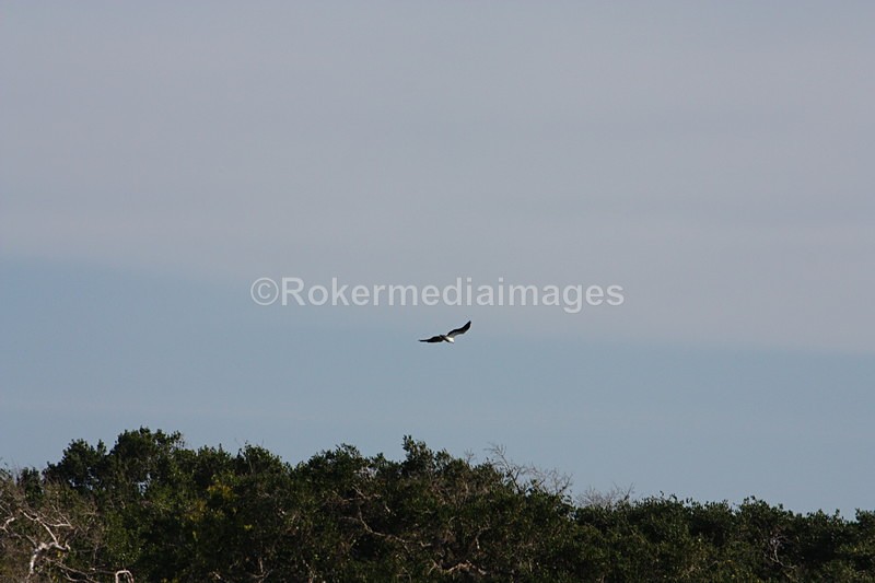  - Travel and culture