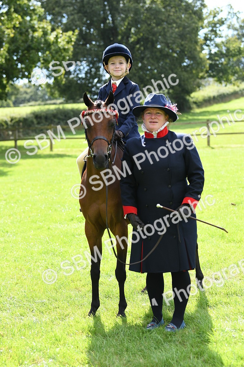 SBM_41179 - S19 - Lead Rein Show & Show Hunter Pony