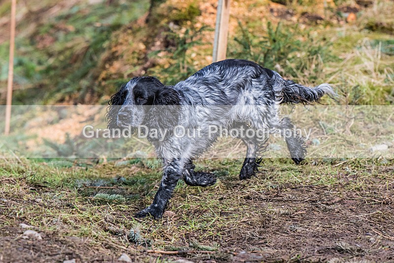 Glentress Marathon-1093 - High Terrain Events Glentress Marathon Trail Run Saturday 19th February 2023