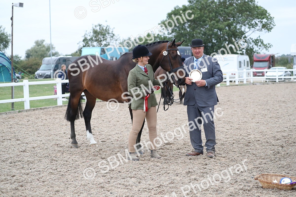 SBM_18406 - Class 318 IH Part bred Horse/Pony