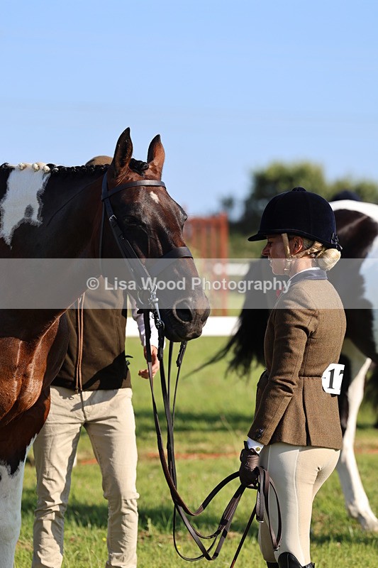 IMG_1305 - Class 27: Ridden Plaited Coloured Horse