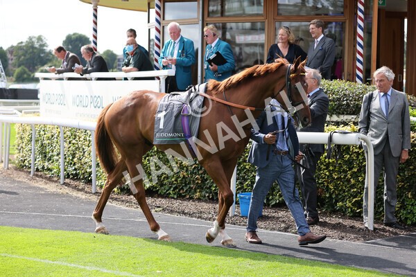 yr18082021r4-5 - Race 4 3.35pm Juddmonte International Stakes (British Champion Series race)