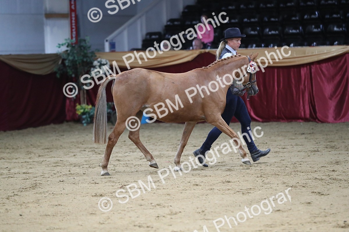 SBM_04978 - Class 8R- Regional -IH Veteran