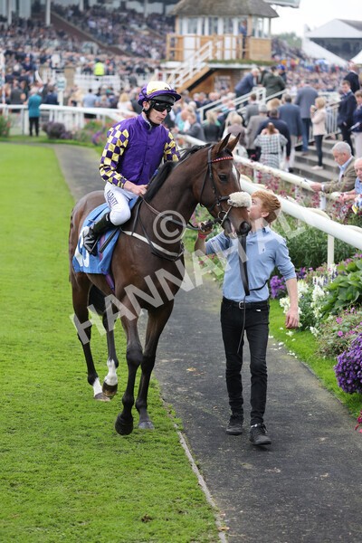 yr09102021r1-24 - Race 1 1.30pm Watch Racing Free Online At Coral Nursery Handicap