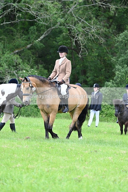 WJ7_1404 - Class 11 Condition & Turnout