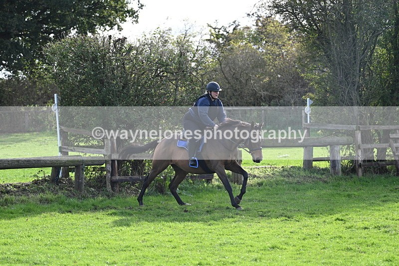 WJ7_0961 - Time 14:27 to 15:11