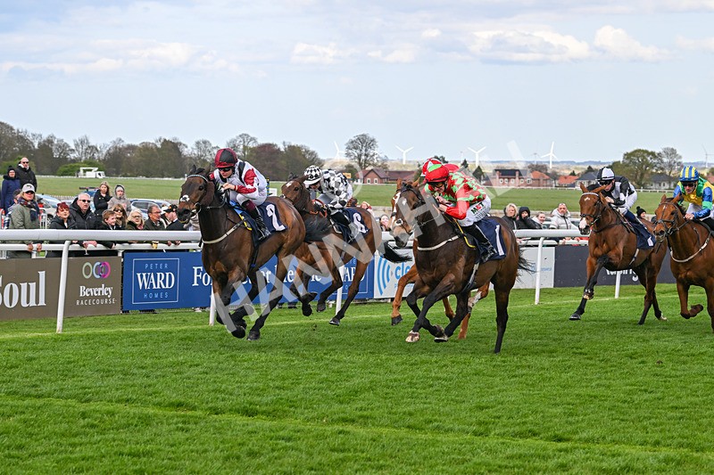 160425-Race 6-Nibras Gold-3803 - Race 6