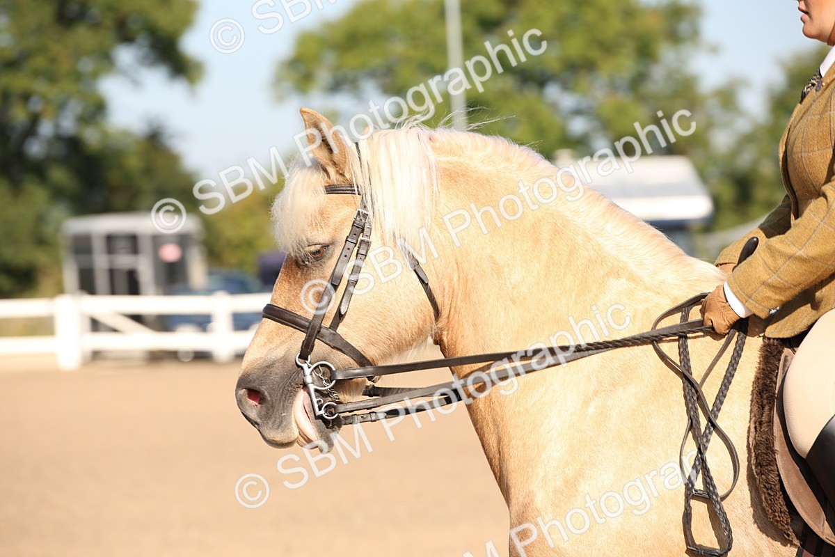 SBM_00707 - Class 14 Ridden M&M Wildcard