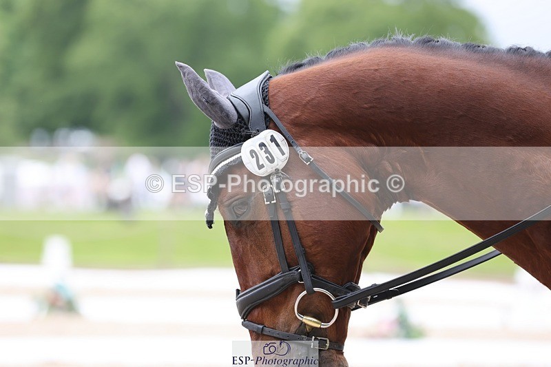 240523-145707-02984 - 231-DHI_ROCK_DANCER-Roberto_Scalisi