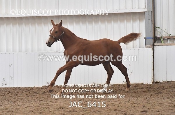 JAC_6415 - 19 Luca
