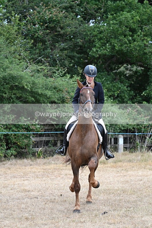WJ7_0835 - Class 7 Riding Club Show Horse