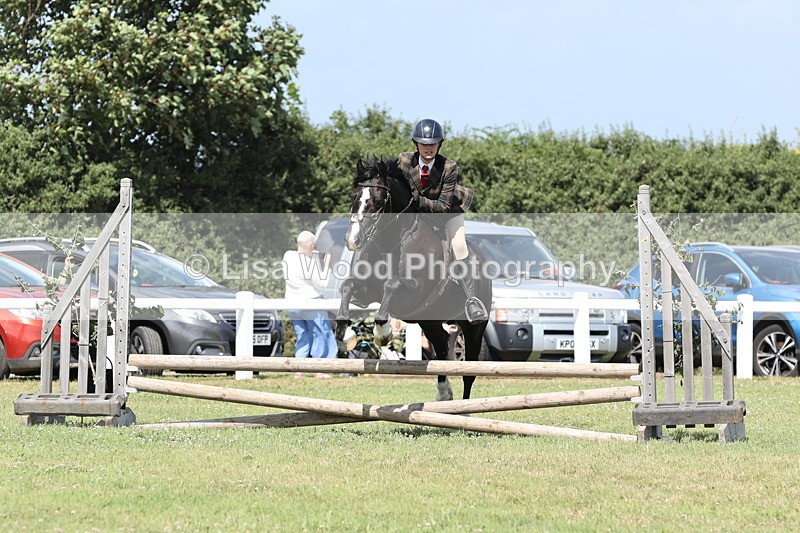 JPP_2210 - Class 19: Working Hunter 60cm