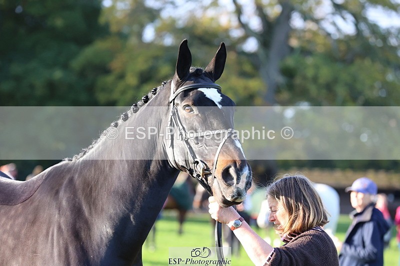 251026A-094448-22451 - D-343-Georgina.Owen