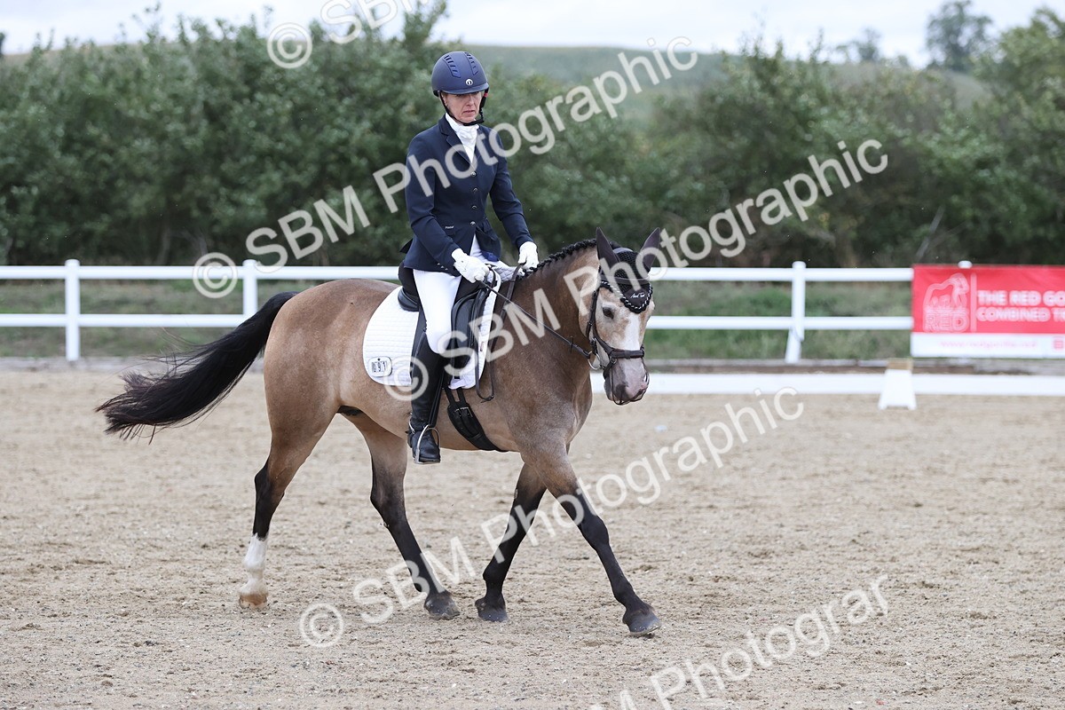 SBM_004249 - Class 9 - Novice 3 Champs