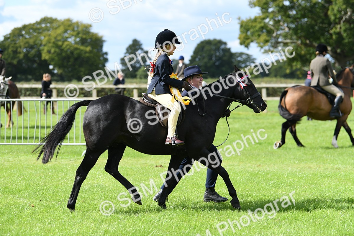 SBM_41286 - S19 - Lead Rein Show & Show Hunter Pony