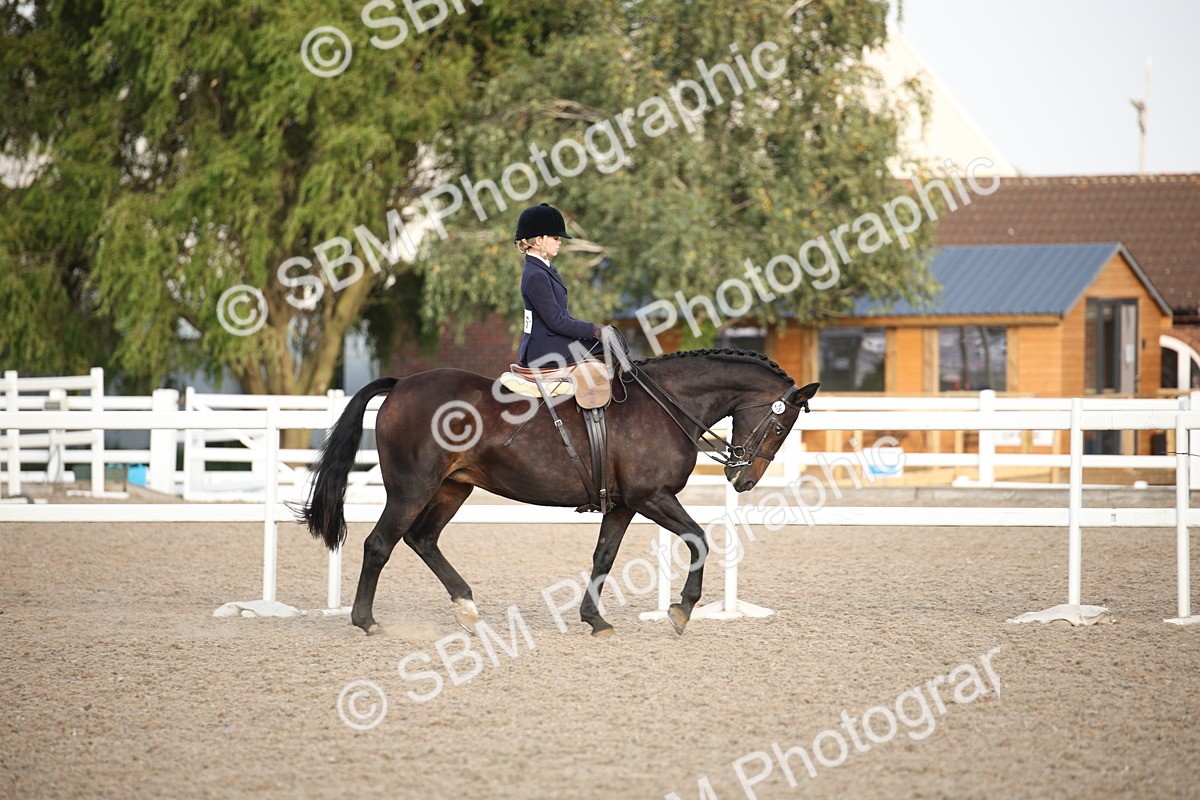 SBM_09189 - Regional Ridden Champ