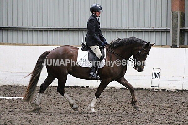 SIAL4634 - CAbin Dressage 5th july 2025