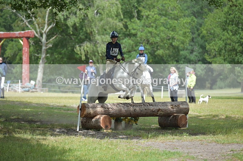 NGP_7825 - Time 11:28 to 11:38