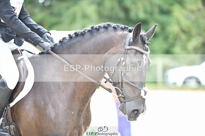 230827-134037-26027 - SJ 13.30 to End