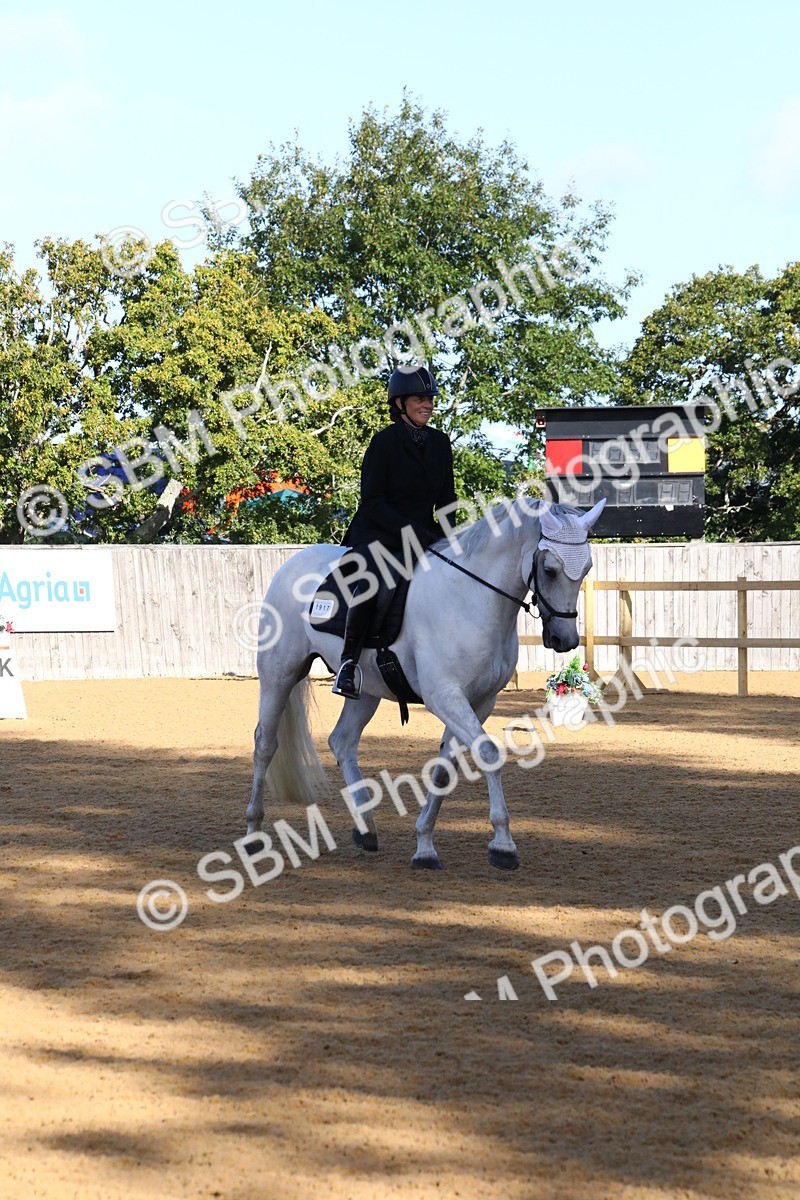 SBM_16349 - D31 - Grand Tour PYO Open .