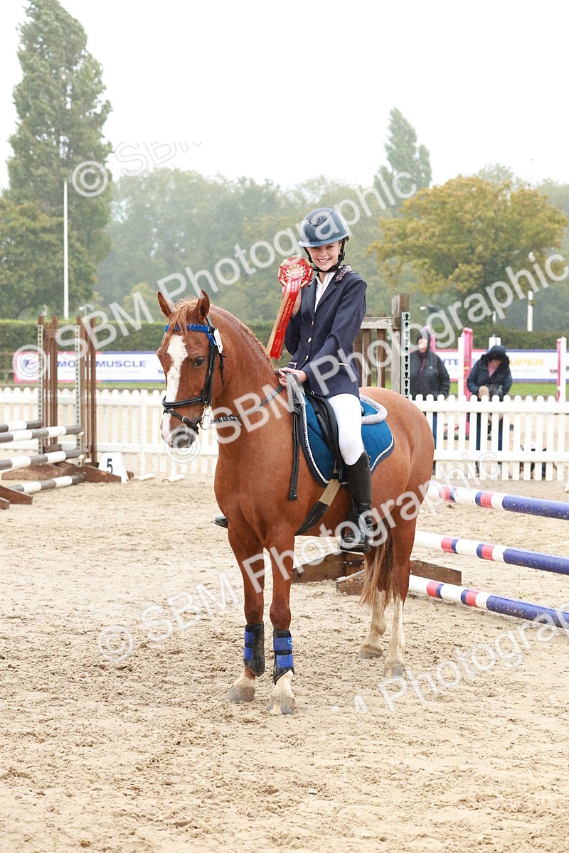 SBM_73465 - Supreme Championship Junior Pony 60cm & 65cm