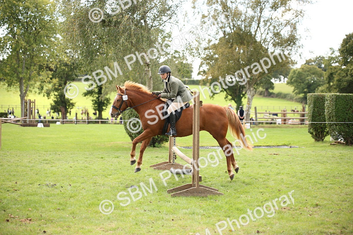 SBM_42373 - S13 - Pony Club Pony