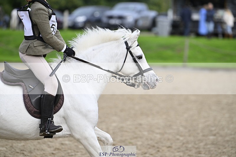 251005A-095015-03119 - Cls 03 GR 60cm