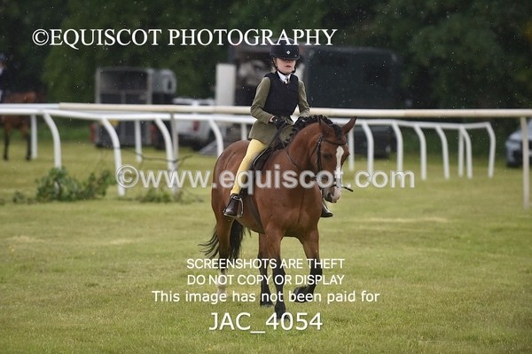 JAC_4054 - 40CM WORKING HUNTER