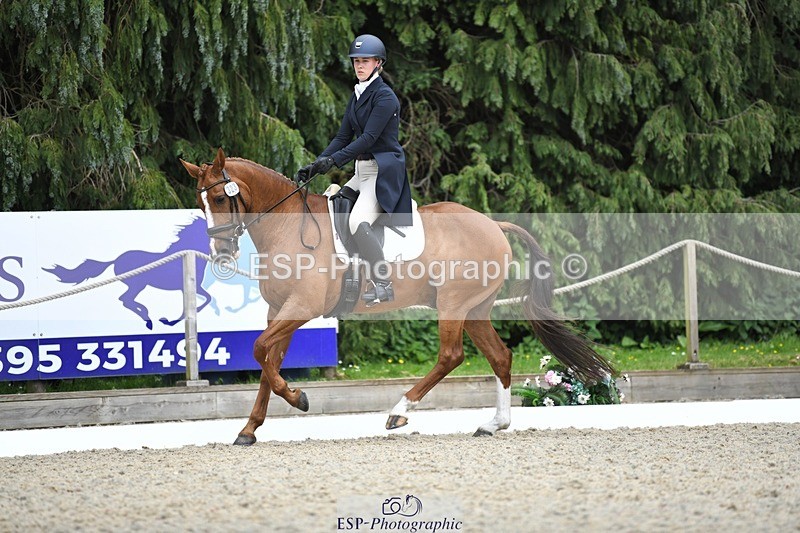 230525-144551-03174 - 323-CHESTNUT_BOBBY-Molly_Fletcher-WEDTrotUp+DR