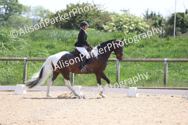 20250520-0816 - Class 5 - Novice 2