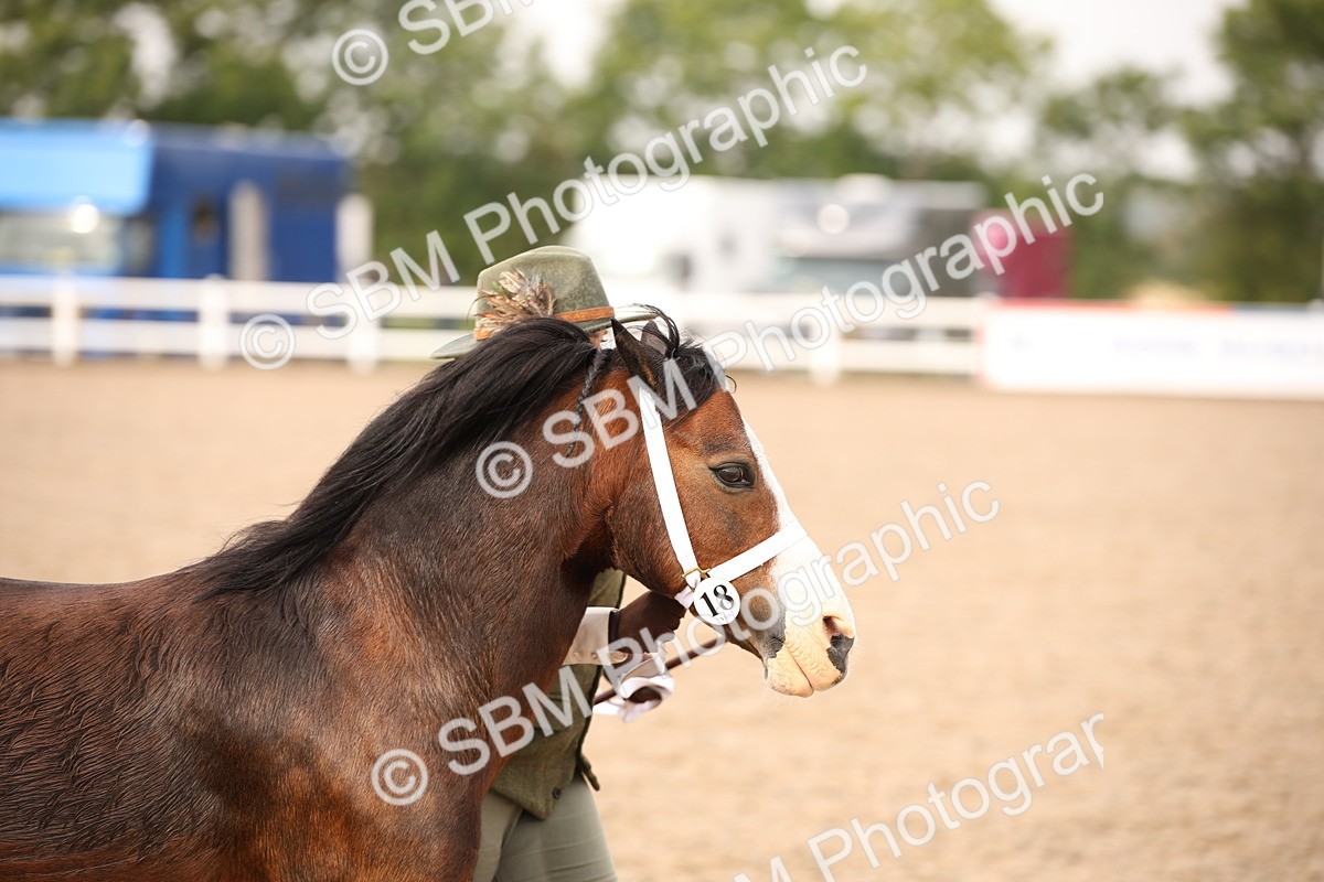 SBM_21478 - Class 706 - IH  Veteran