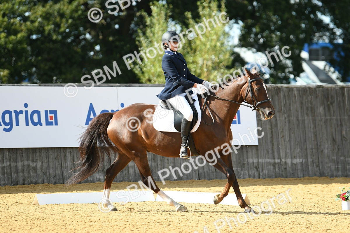 SBM_27057 - D16 - Small Tour Championship - Novice 28