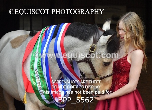 BPP_5562 - Marion West pony 1