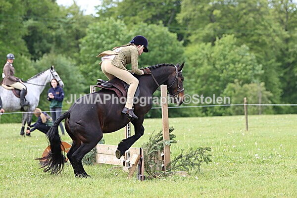 IMG_2482 - Working Hunter
