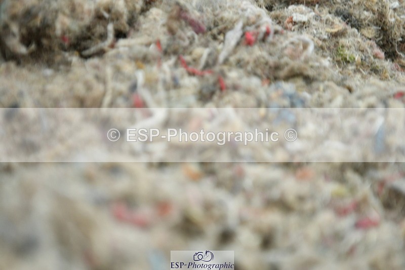 230708A-120300-01257 - Novice 23