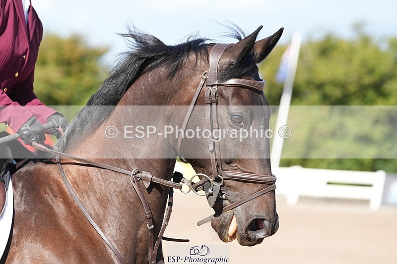 250802-093626-08363 - Cls 19 British Novice and 90cm Open