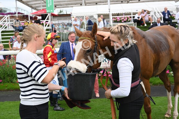 yr04092022r3-51 - Race 3 2.55pm The Elevator Company Garrowby Stakes