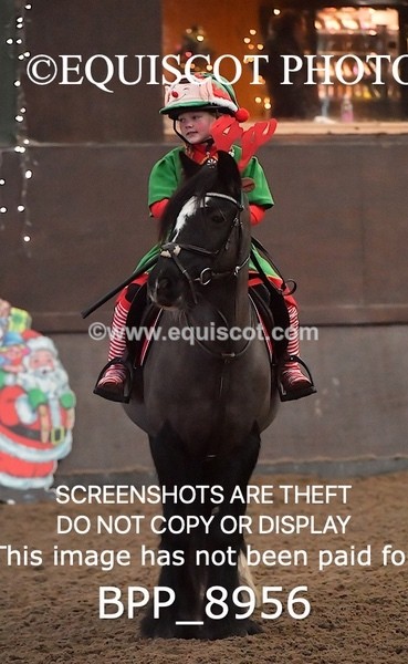 BPP_8956 - CLASS 1 Beginners Show Jumping