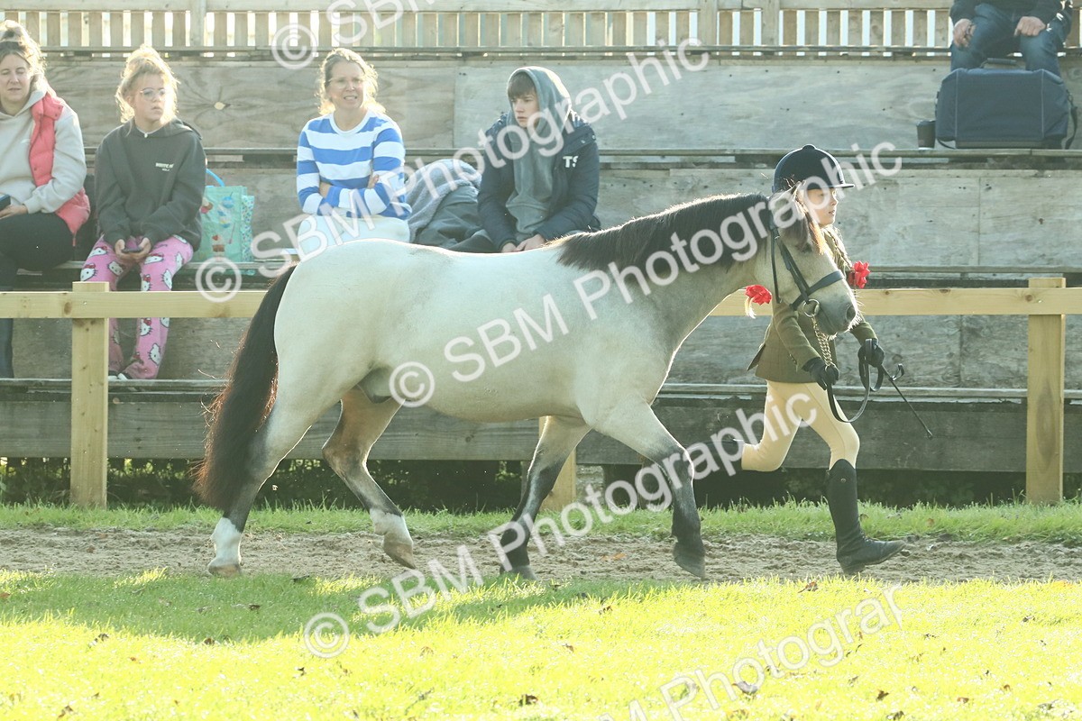 SBM_57388 - S37 - Starters In Hand Showing
