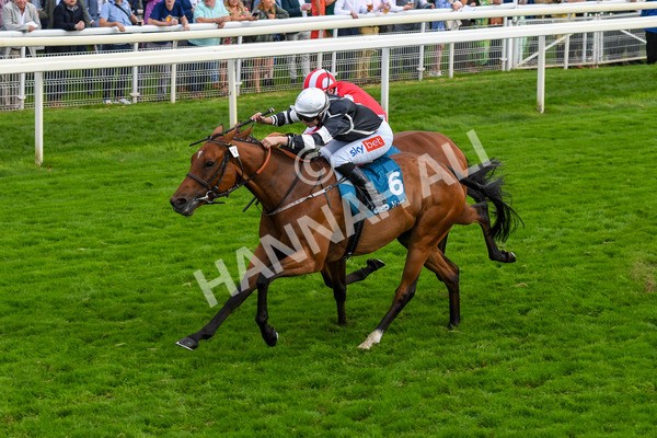 250823-Race 5-Reach-0884 - Race 5 4.10pm Assured Data Protection EBF Fillies' Handicap