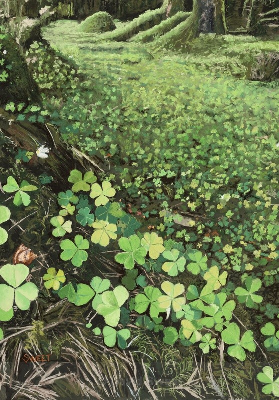 Newtownstewart Clover - Paintings