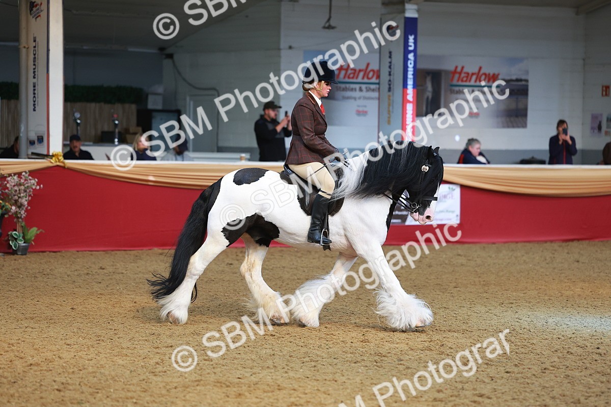 SBM_09747 - Class 102 - HOYS Veteran Qualifier - Ridden Veteran
